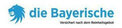 BA die Bayerische Allgemeine Versicherung AG